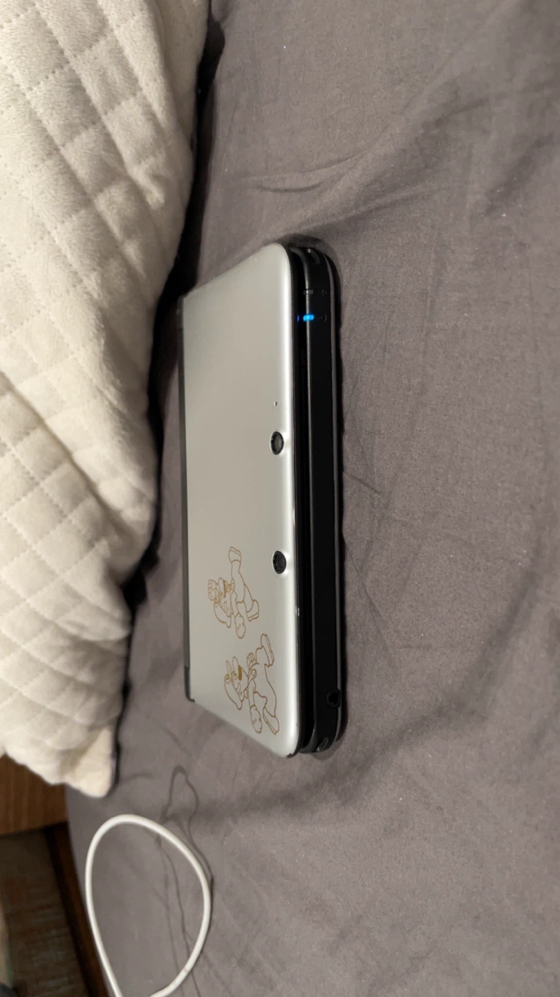 Nintendo 3DS XL Year of Luigi Edition