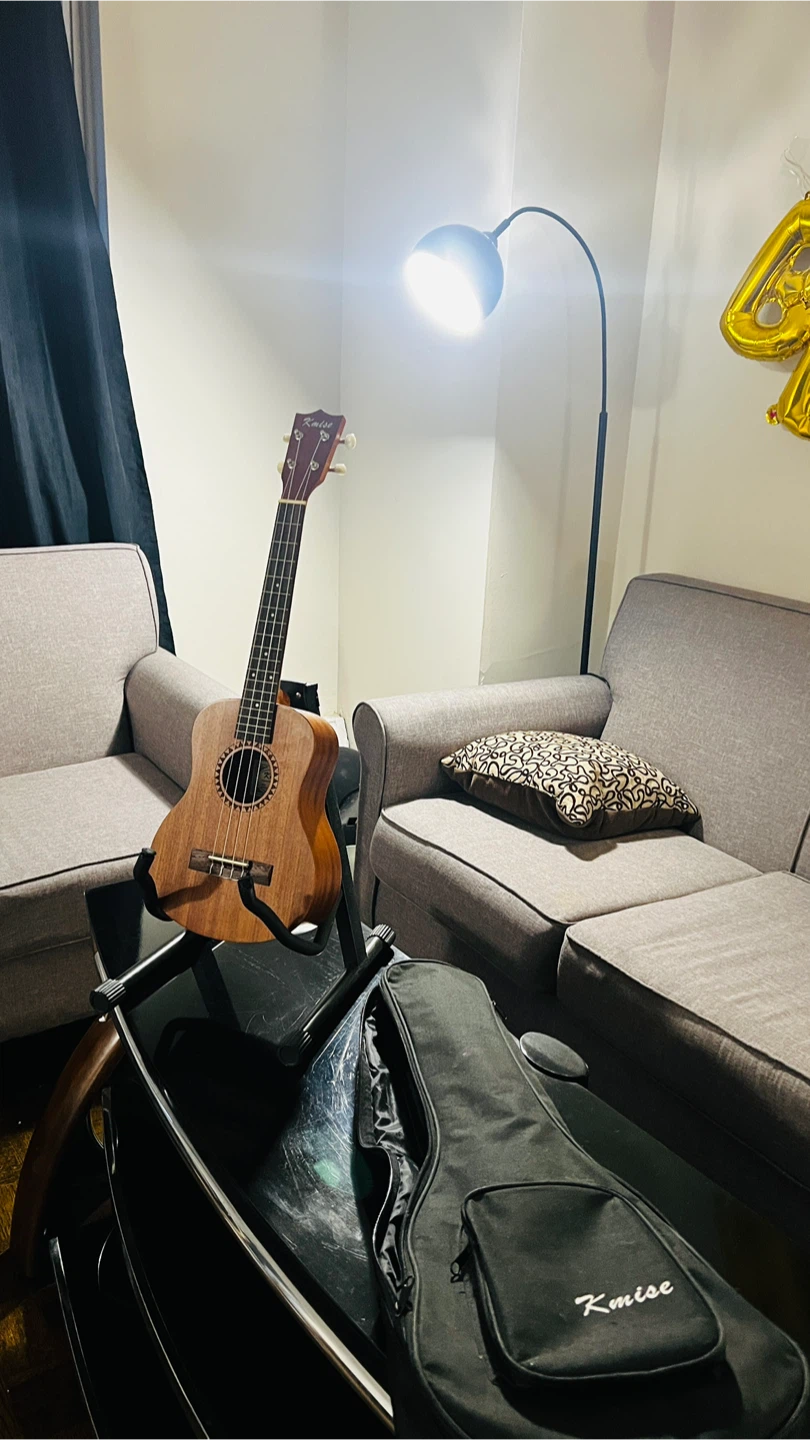 Rode Microphone Pop Filter & Ukulele