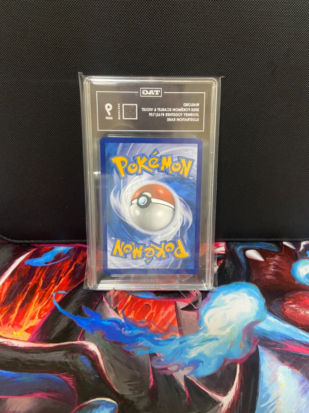 Wailord Pokemon Card - TAG Mint 9 - photo 2
