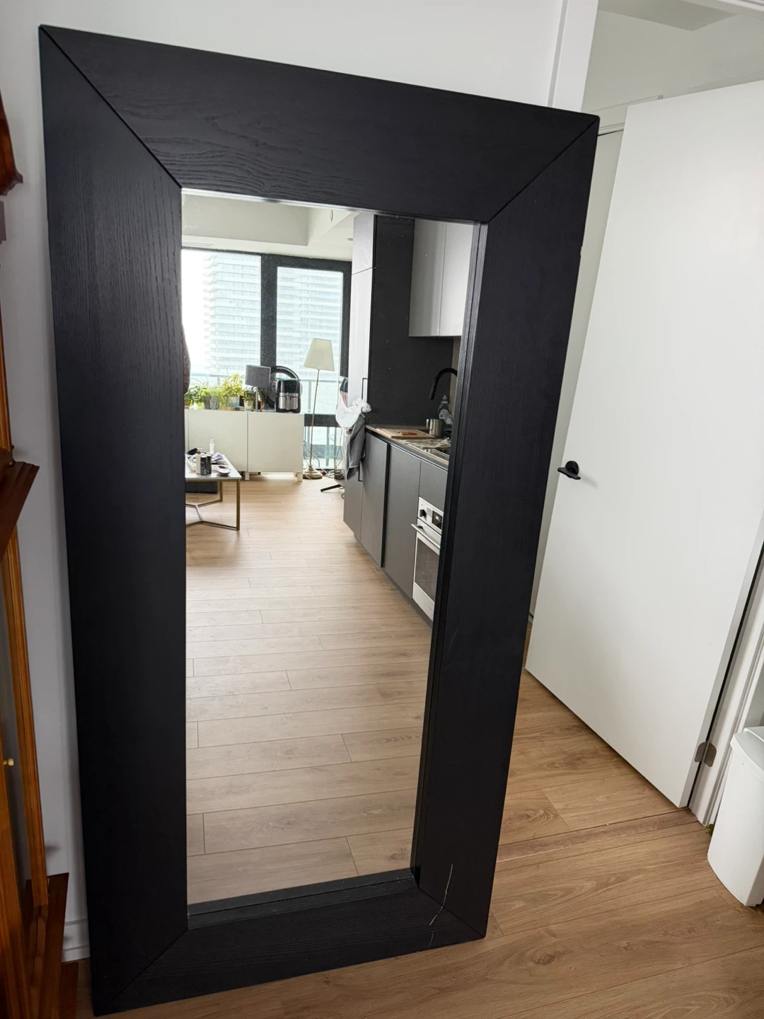 Black Framed solid wood Full Length Mirror