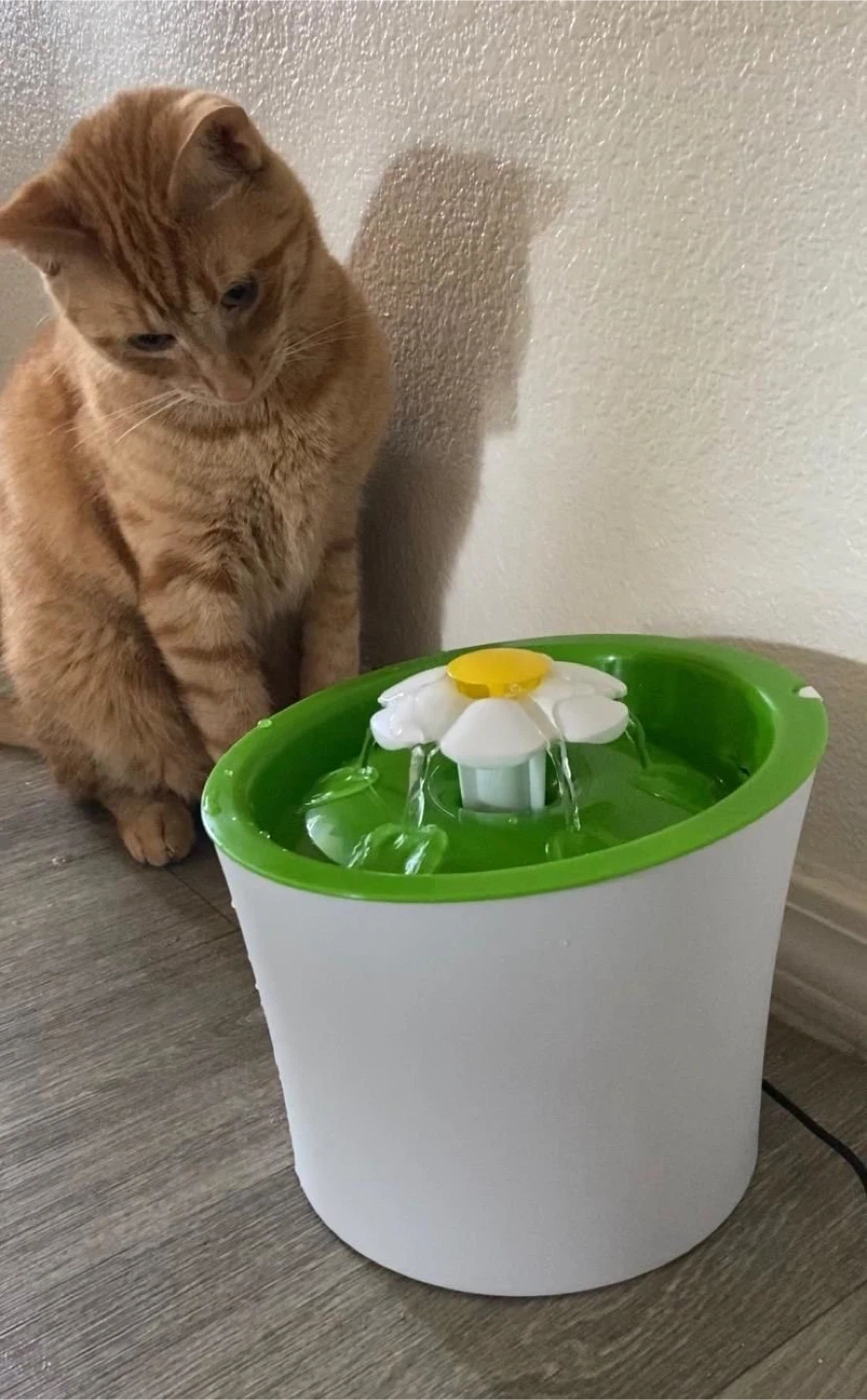 Cat Water Fountain with Flower Design
