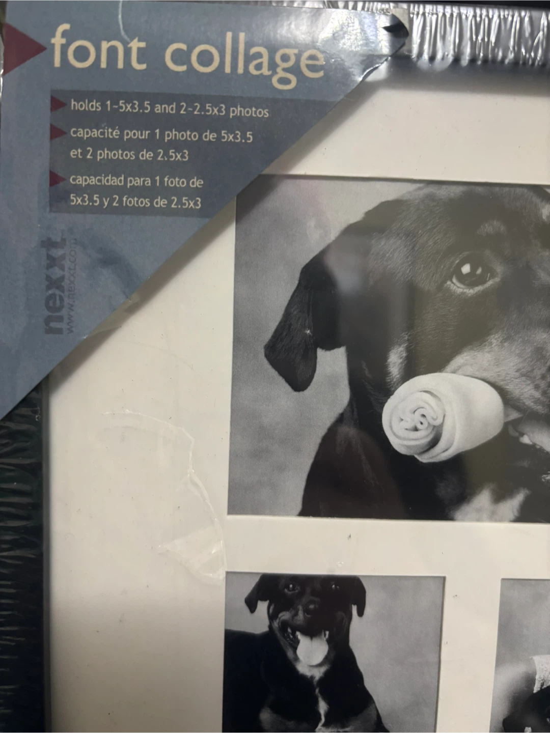 Nexxt Font Collage Picture Frame-dog version - photo 3