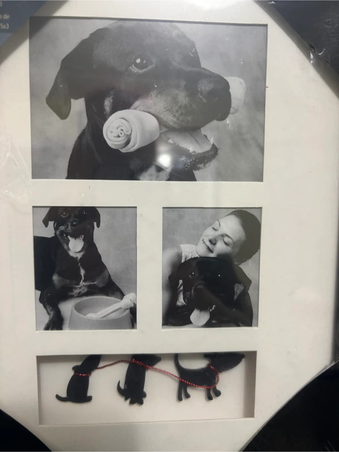 Nexxt Font Collage Picture Frame-dog version - photo 2