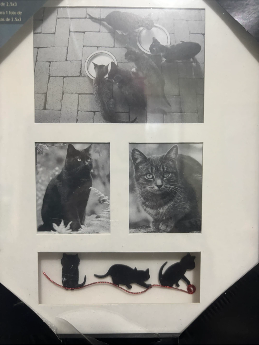 Nexxt Font Collage Picture Frame- cat version - photo 2