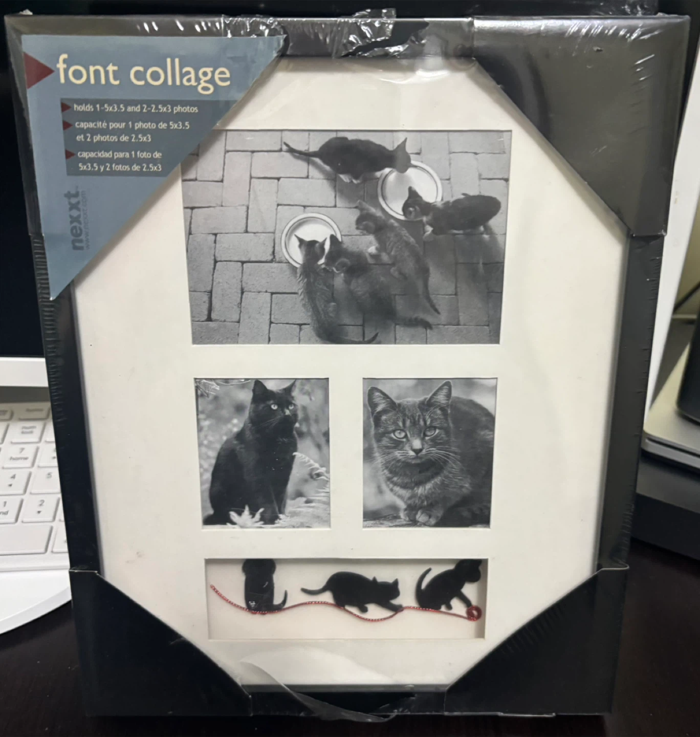 Nexxt Font Collage Picture Frame- cat version