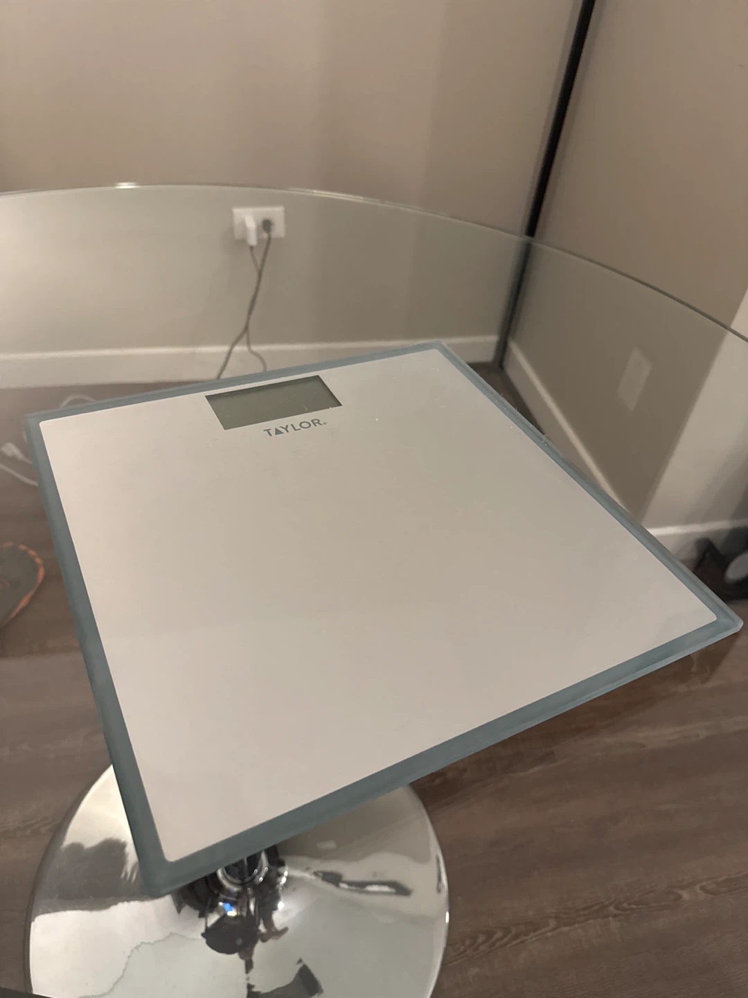Taylor Digital Scale