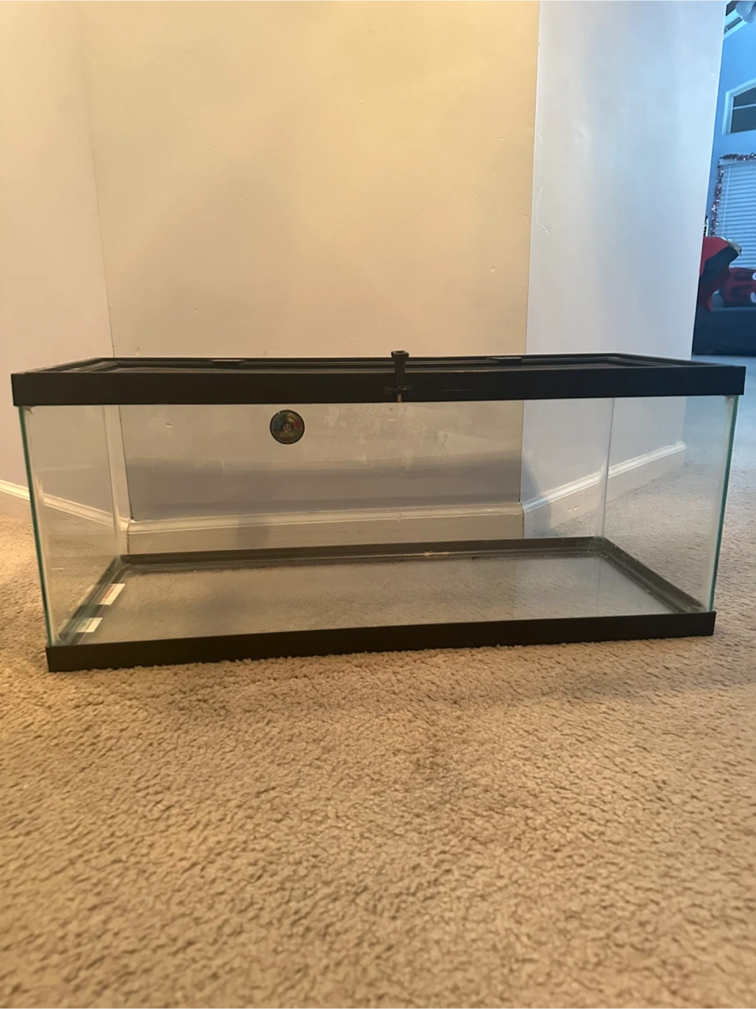 Glass Aquarium Tank