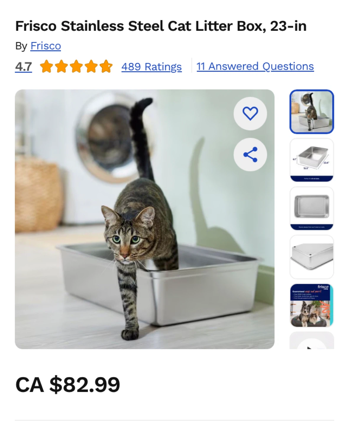 EVERYTHING Kitten Starter Kit! All the essentials you need! - photo 4