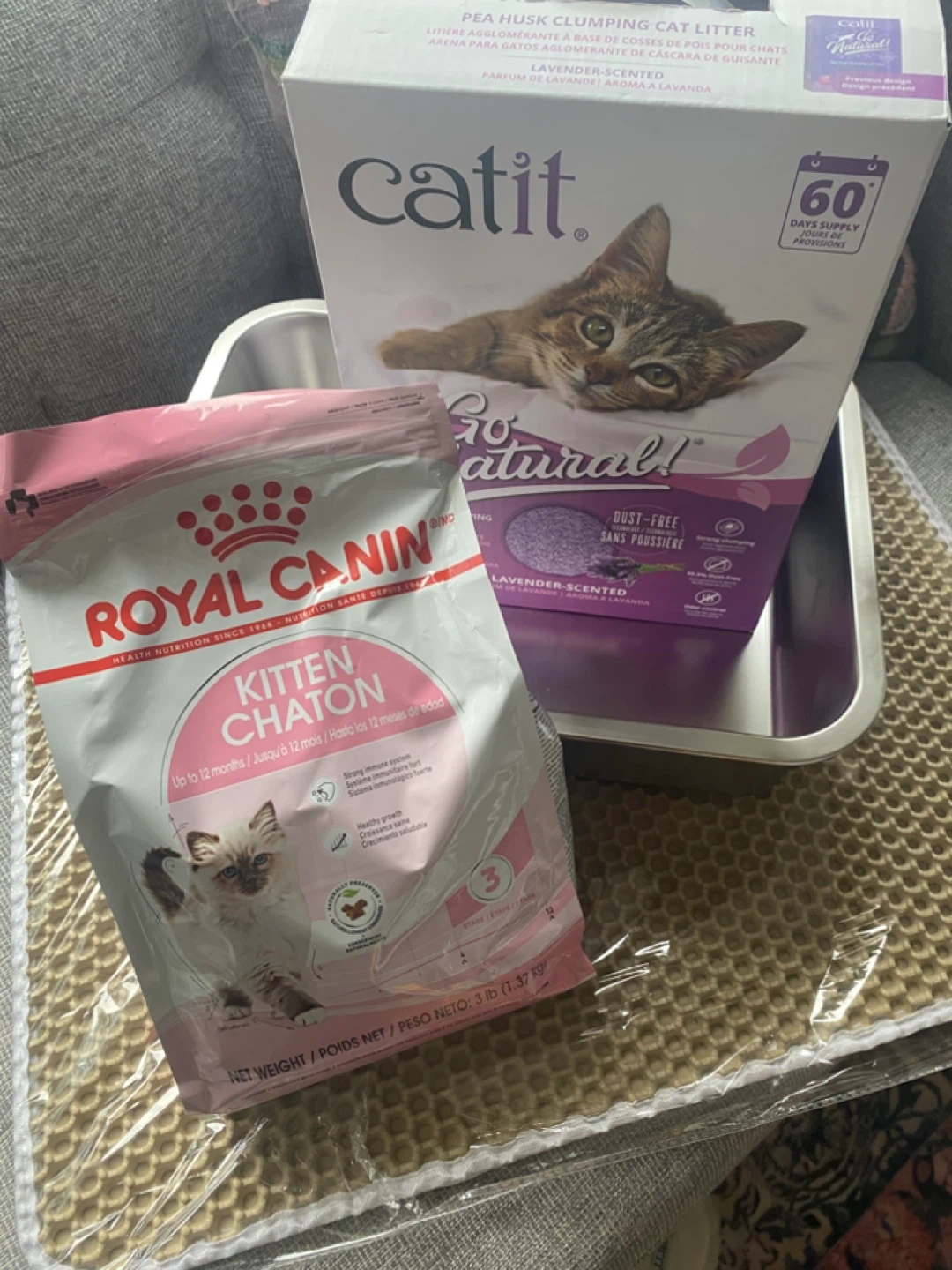 EVERYTHING Kitten Starter Kit! All the essentials you need!