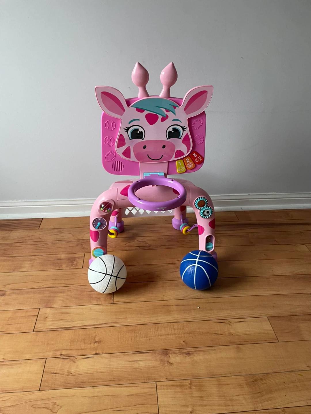 Giraffe Basketball Hoop & Soccer Goal
