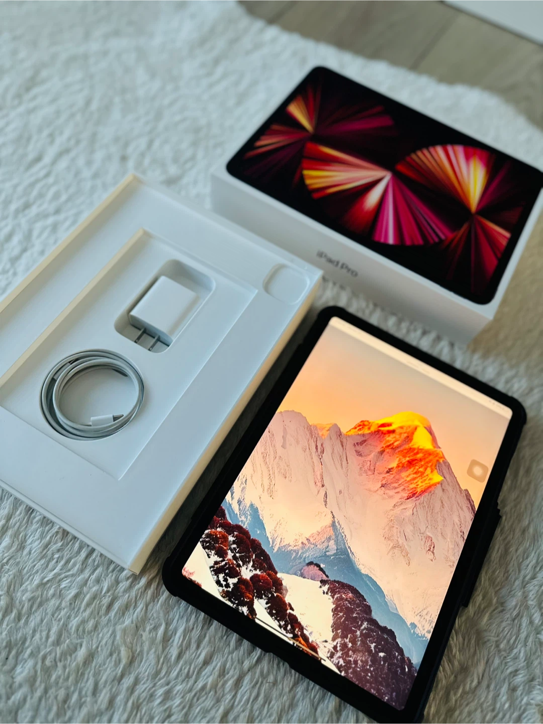 Apple iPad Pro 11-inch (3rd Gen) 128GB w/ Spigen Casing