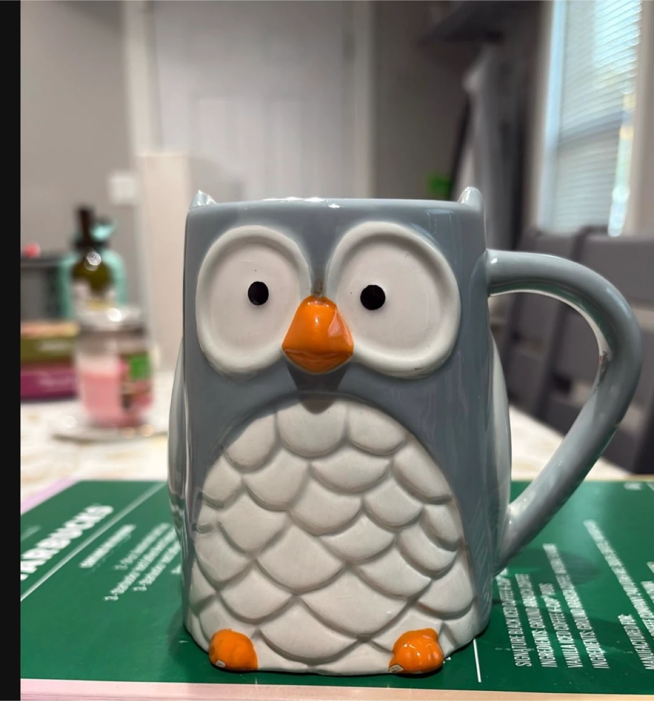 Starbucks Owl Mug