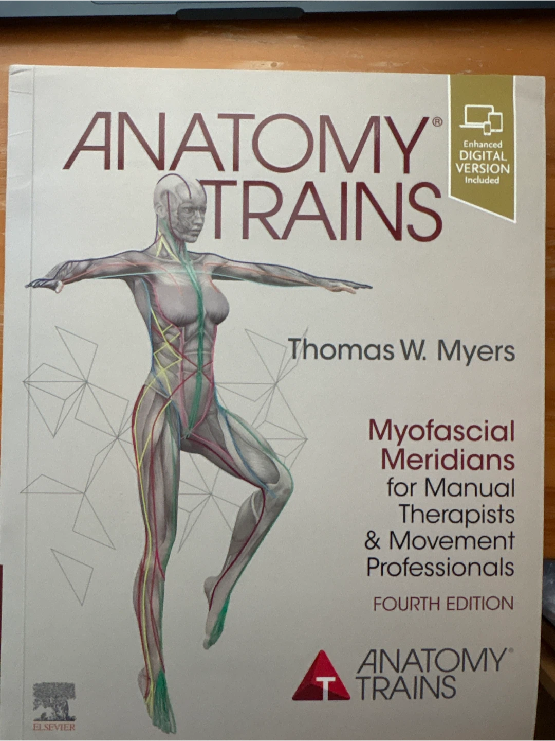 Anatomy Trains by Thomas W. Myers