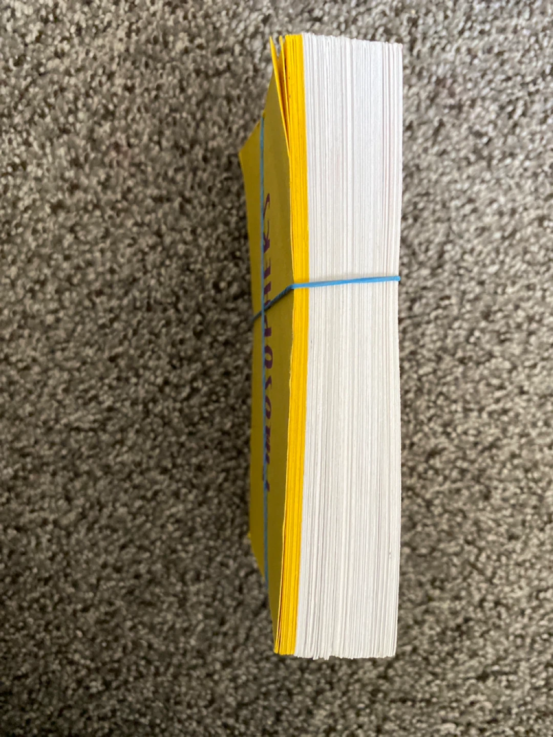 Social 30-1 flash cards - photo 3