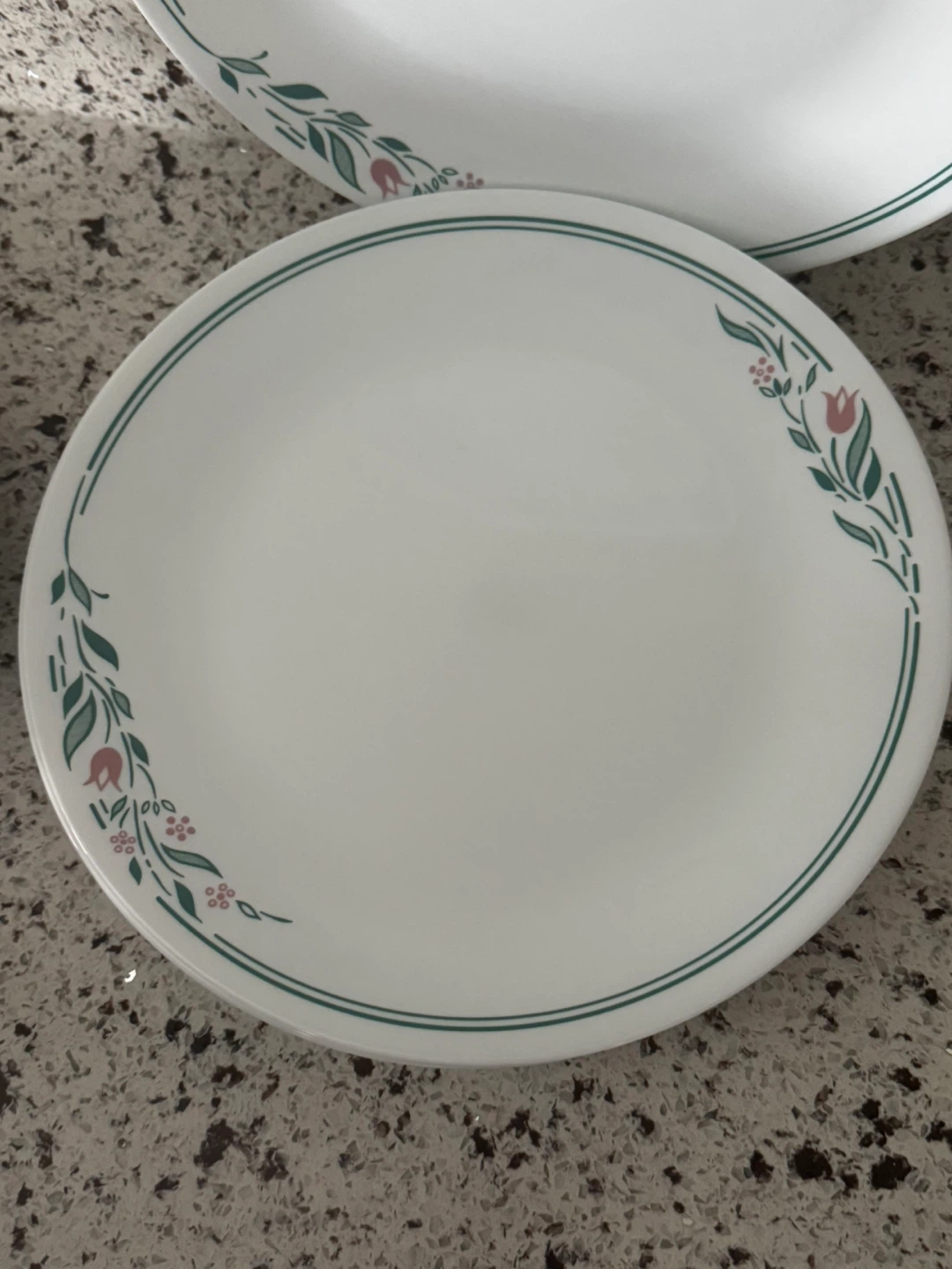 Corelle Dinner Plates - Set of Plates - photo 3