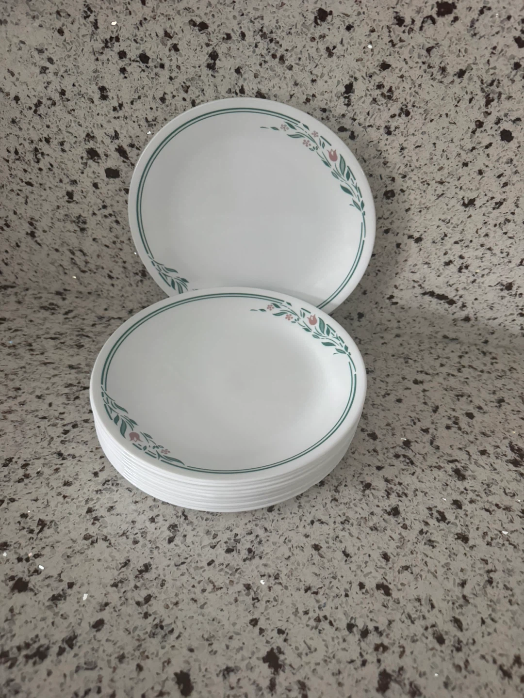 Corelle Dinner Plates - Set of Plates