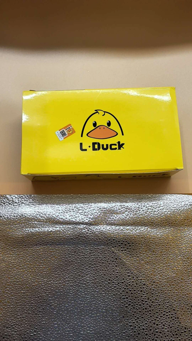 L.Duck Stainless Steel Lunch Box - New - photo 5