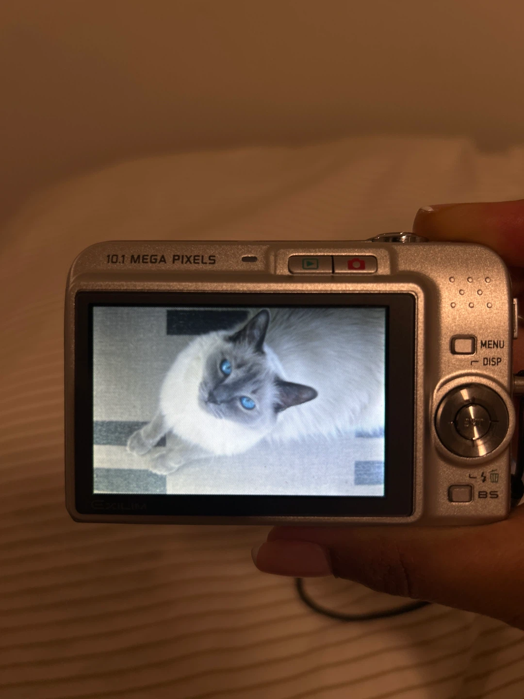 Casio Exilim 10.1 Mega Pixels Digital Camera - photo 3