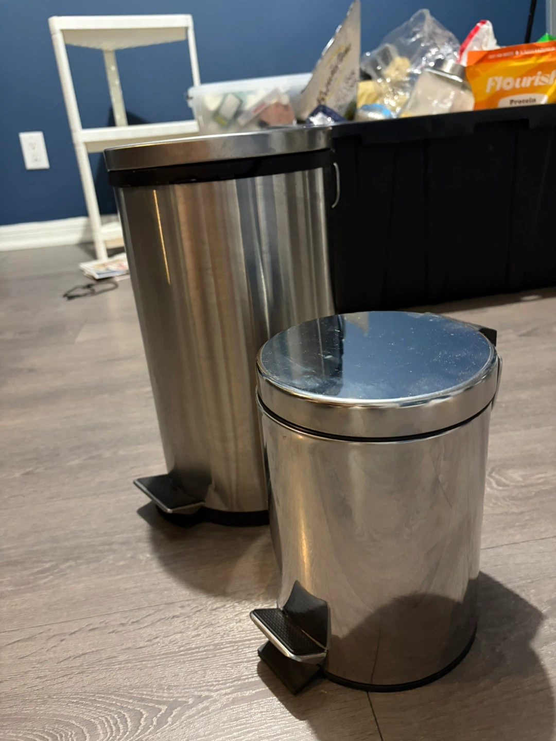 Stainless Steel Step-On Trash Cans