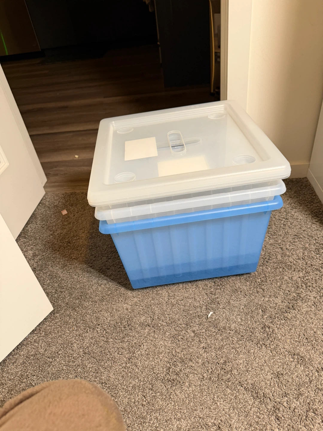 Blue & White Storage Bins with Lids - Set of 3 - photo 2
