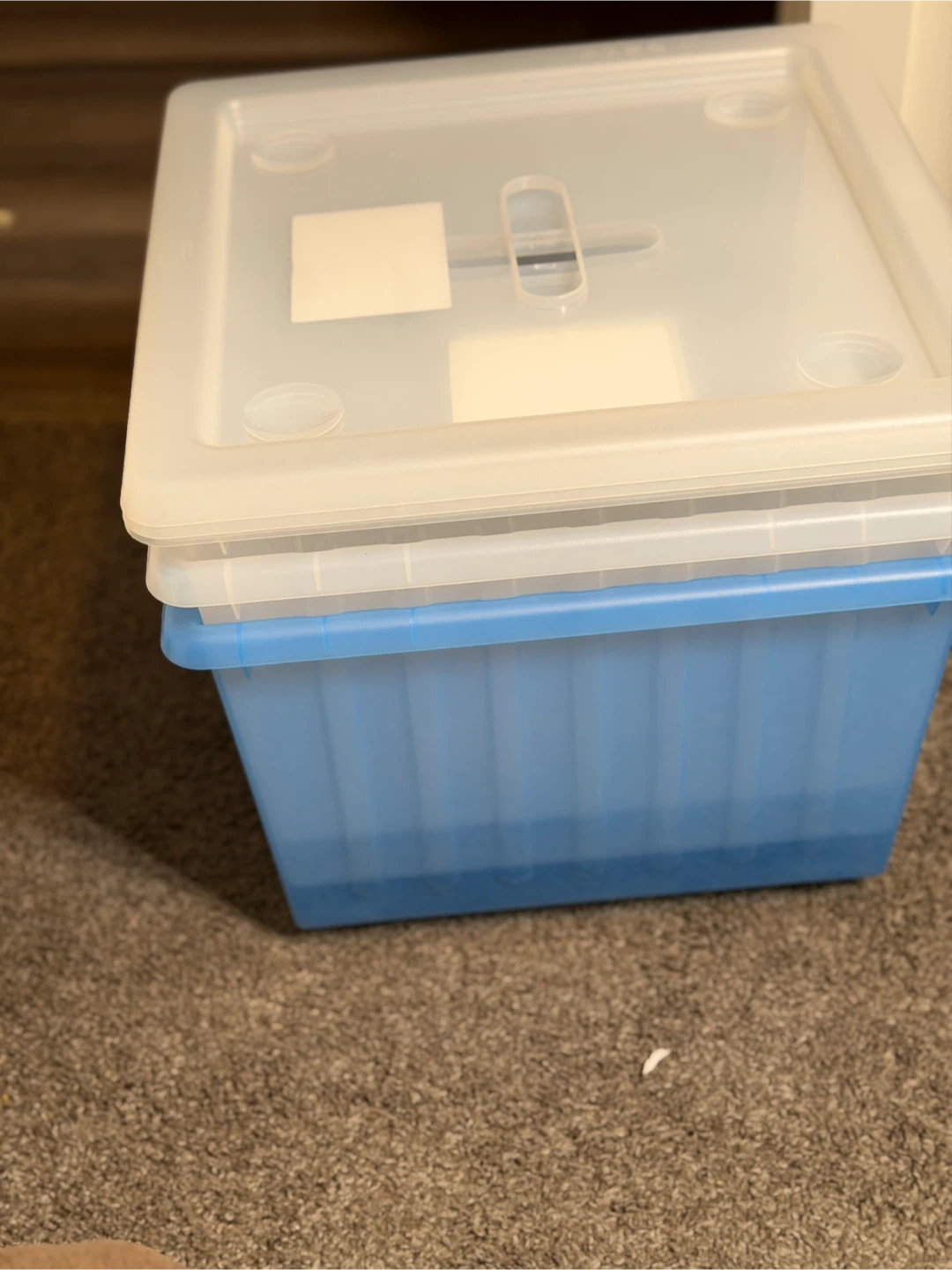Blue & White Storage Bins with Lids - Set of 3