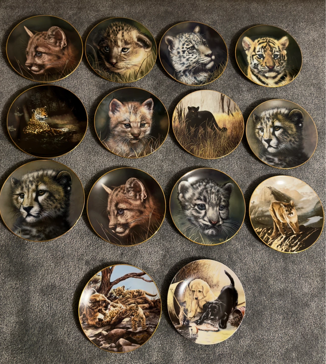 Wildlife Feline Collector Plates (Set of 14)