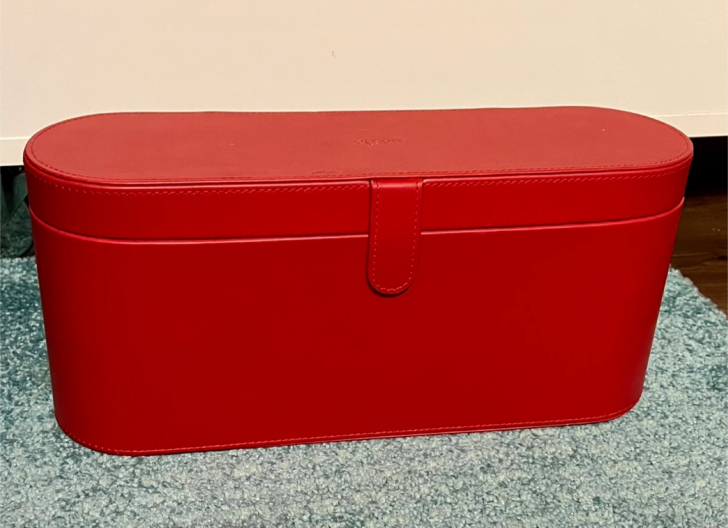 Dyson Red Storage Case