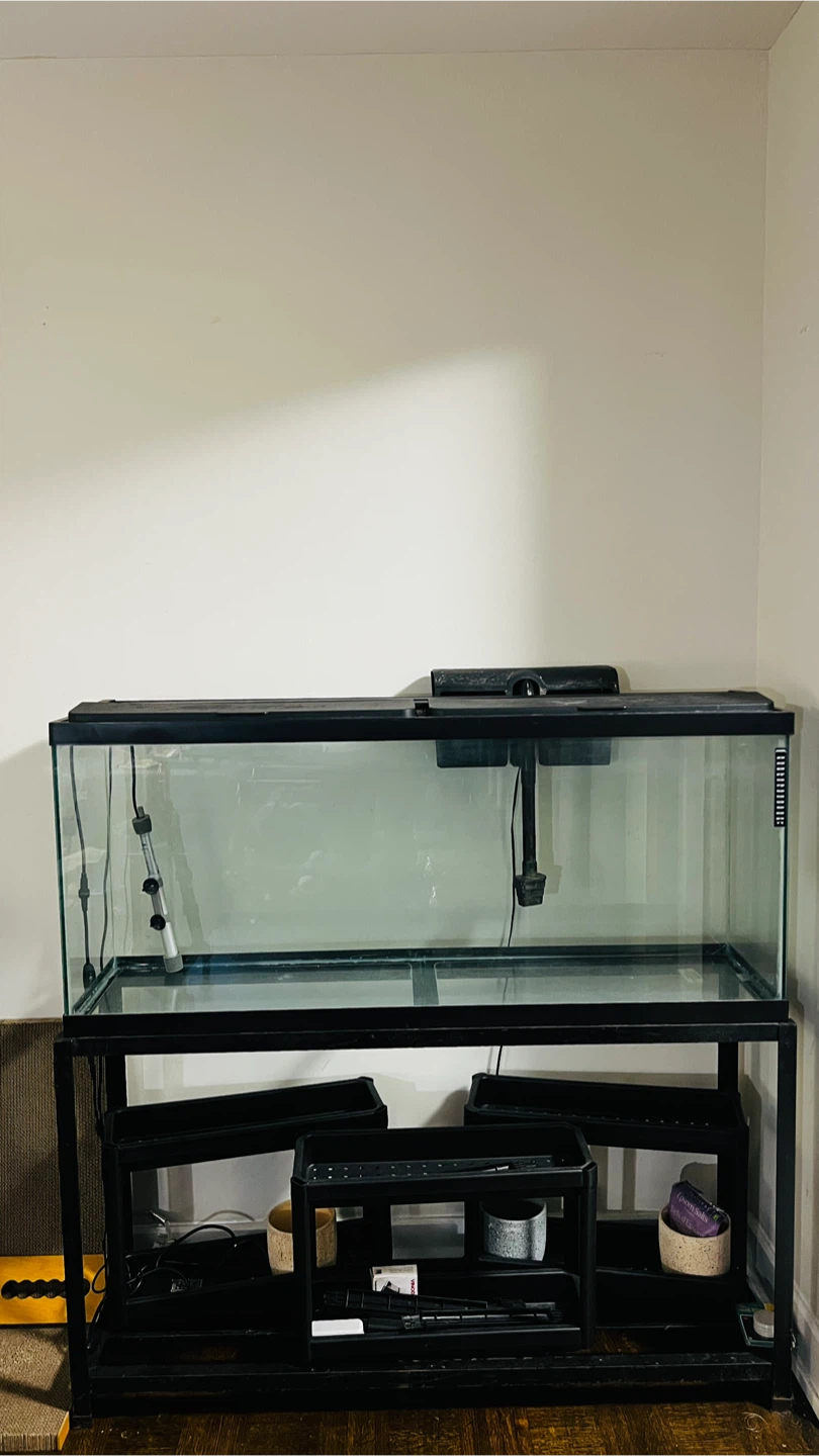 Glass aquarium with metal Stand