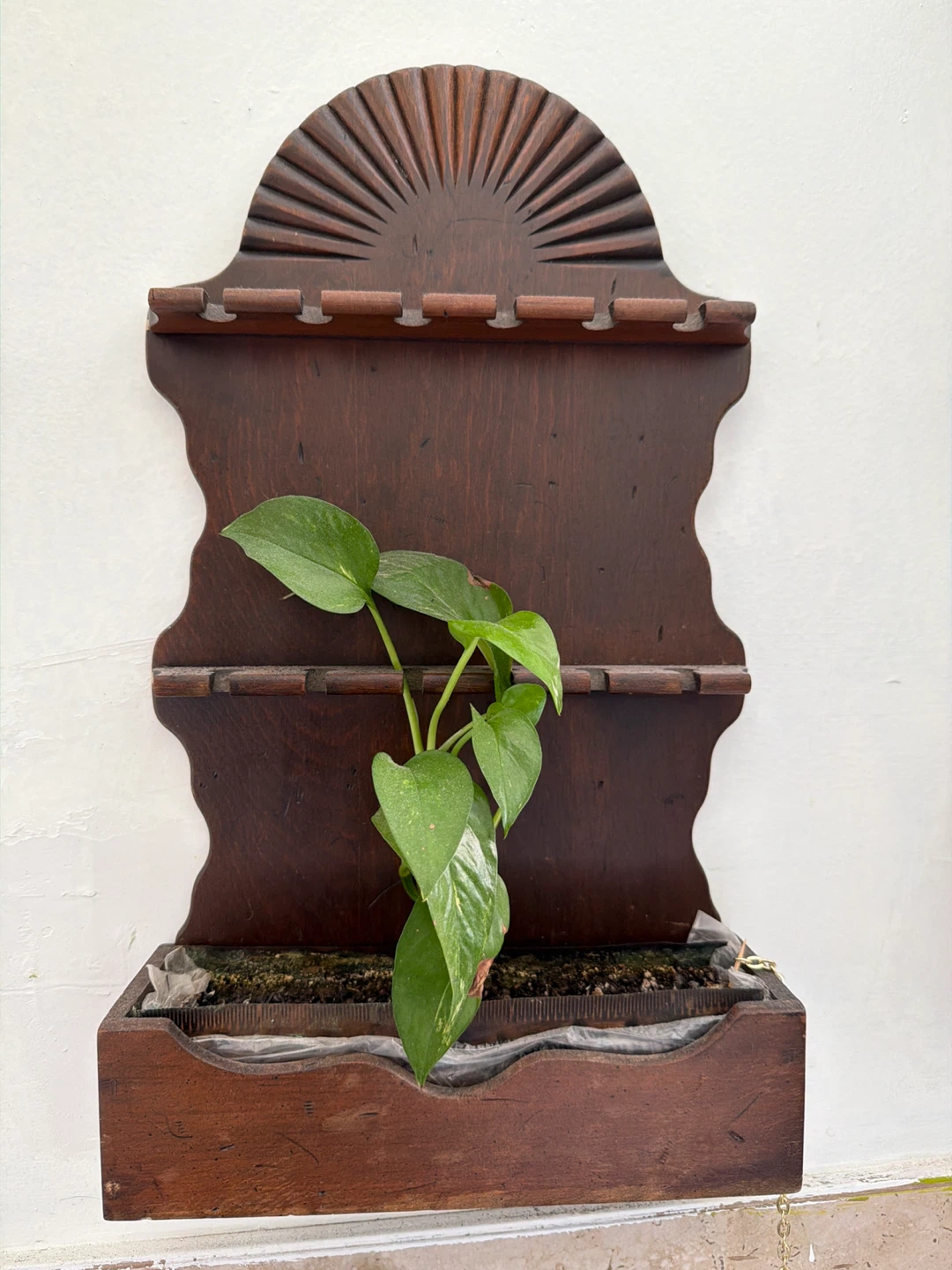Vintage Wooden Wall Planter
