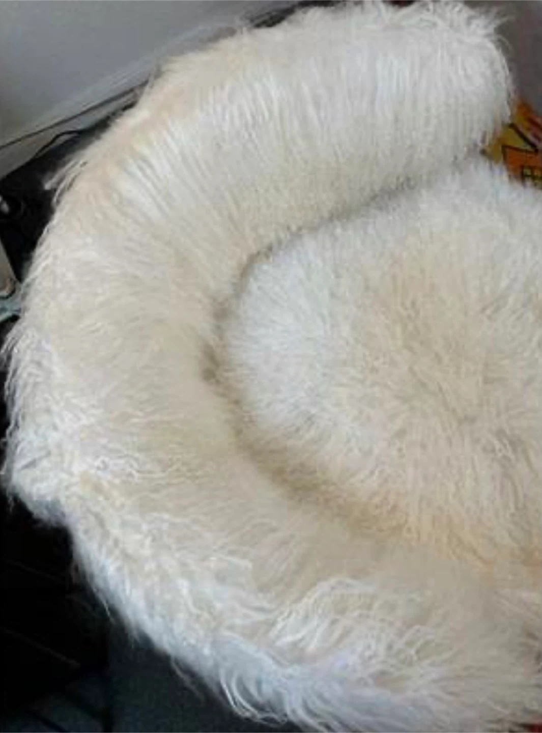 Interlude Home Darcy Chairs (4) Ivory Sheepskin - photo 2