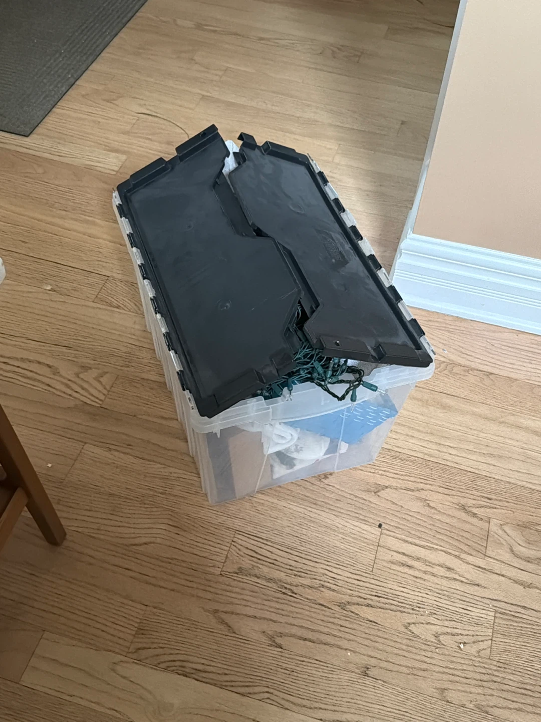 Christmas Decorations & Storage Bin