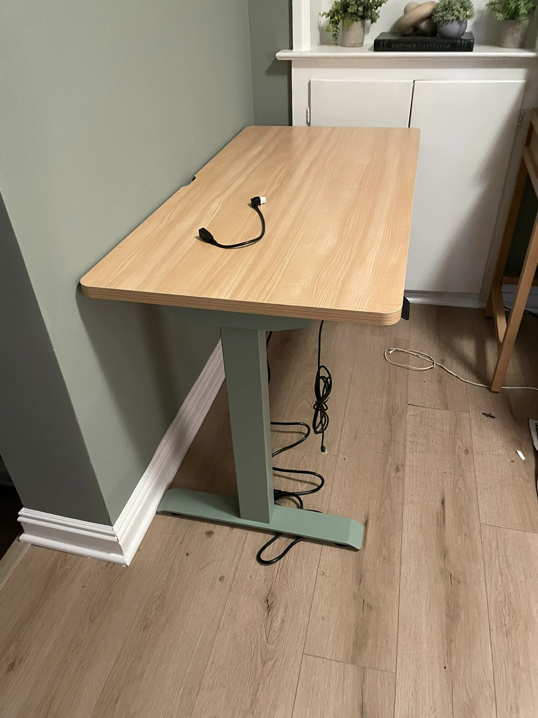 Branch 48” Adjustable Standing Desk - Light Wood & Green