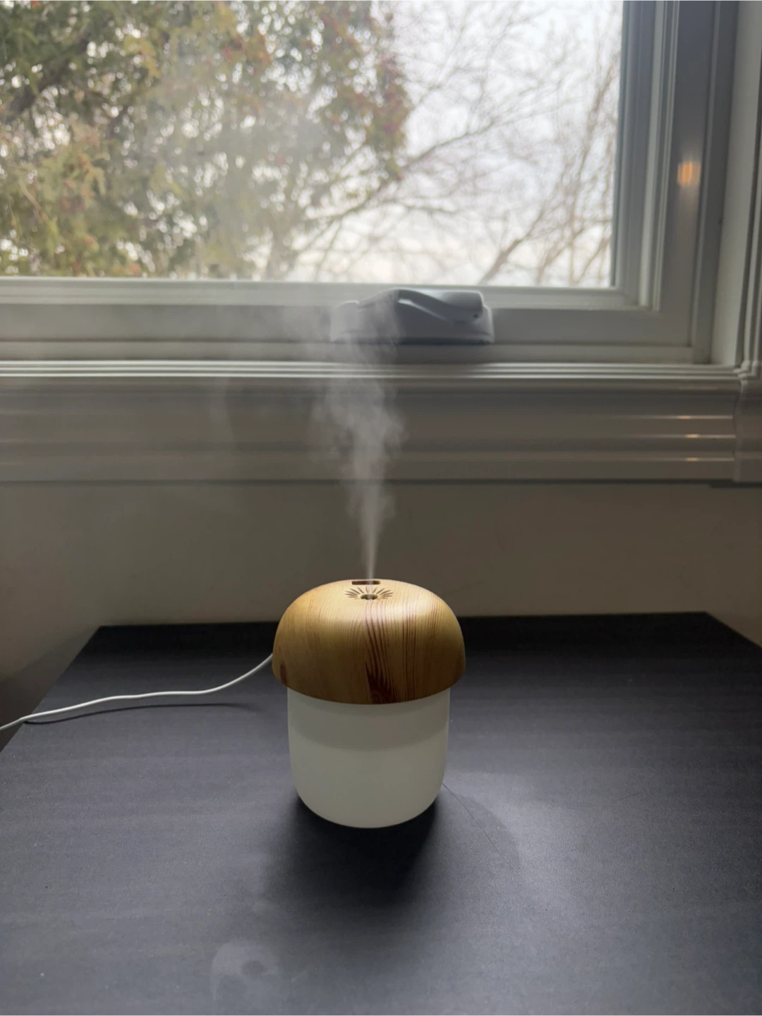 Mushroom Humidifer - photo 2