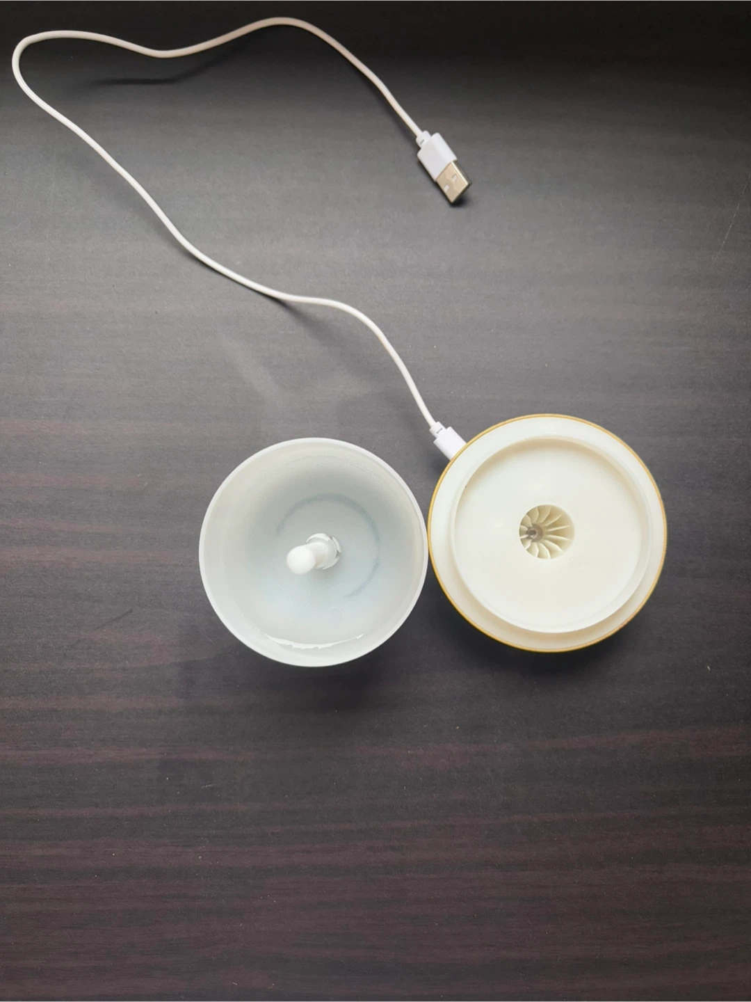 Mushroom Humidifer - photo 4