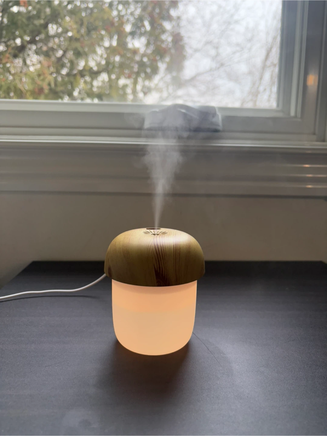 Mushroom Humidifer