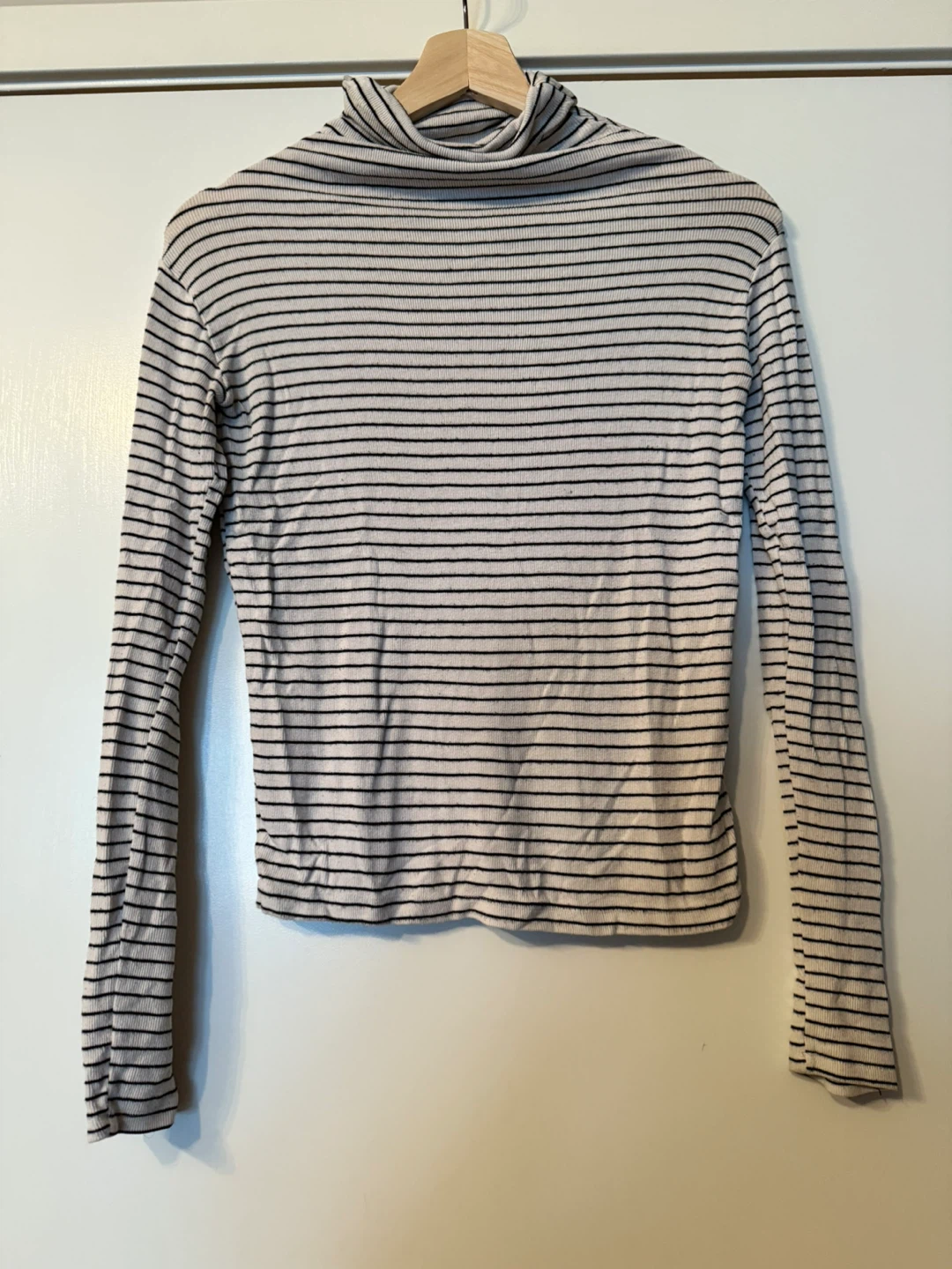 Striped Turtleneck Long Sleeve Top
