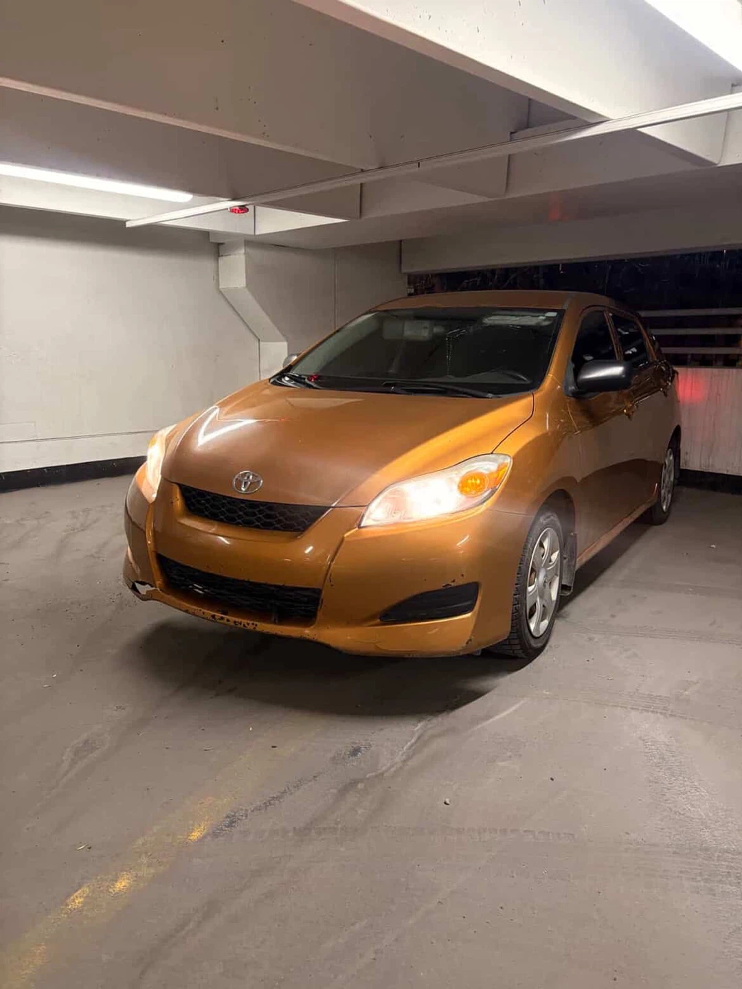 Toyota Matrix - Gold