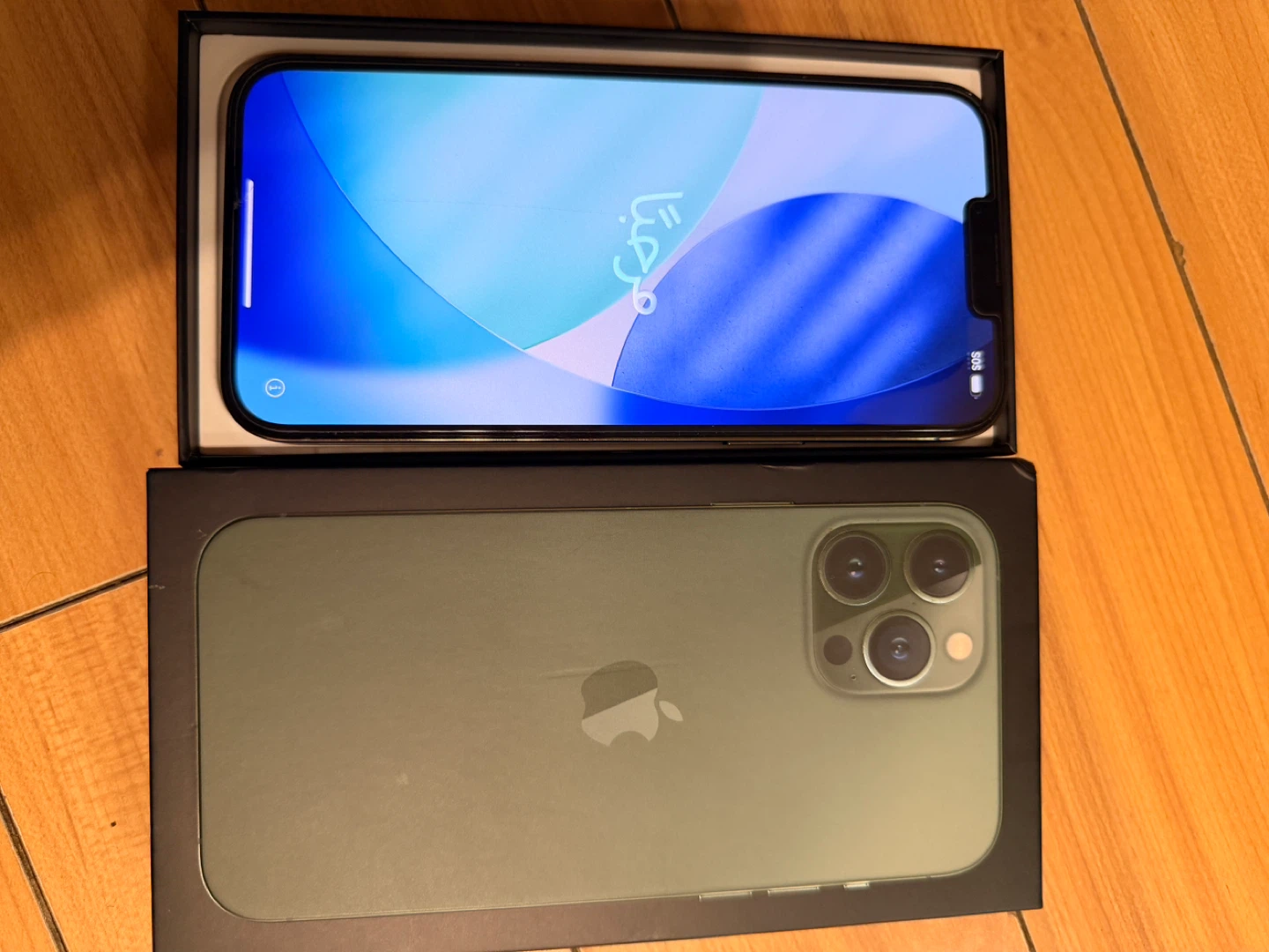 iPhone 13 Pro Max Alpine Green - photo 3
