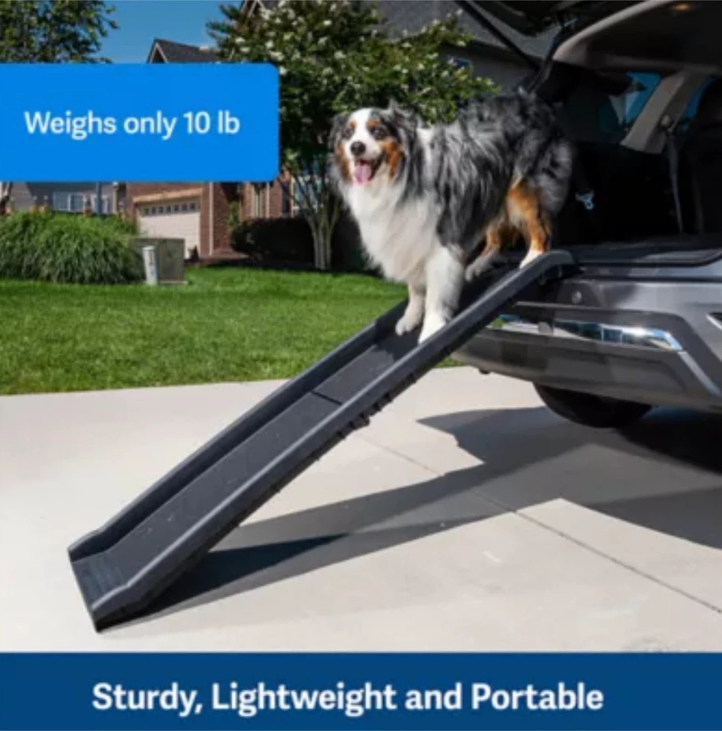 FOLDABLE DOG RAMP - photo 2