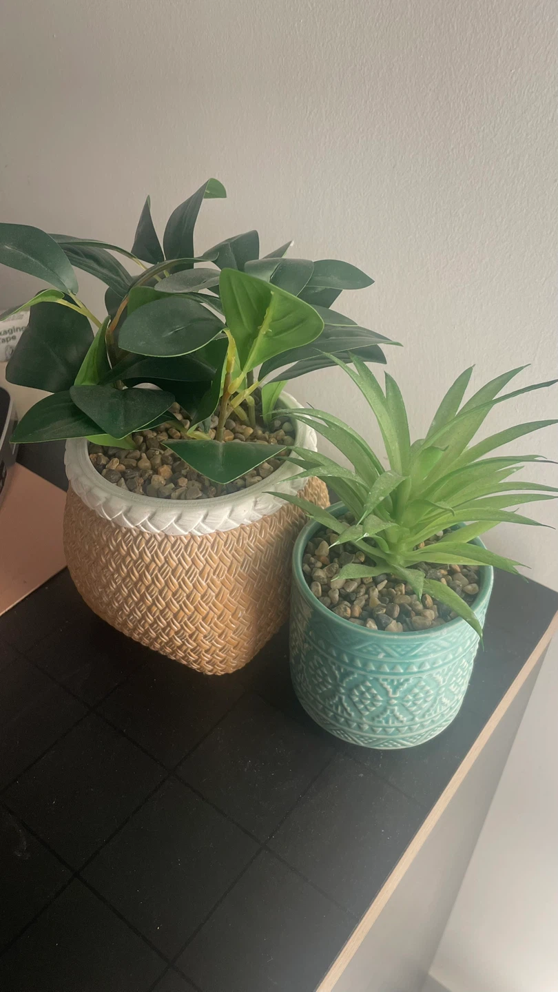 Fake Plants - Set of Two