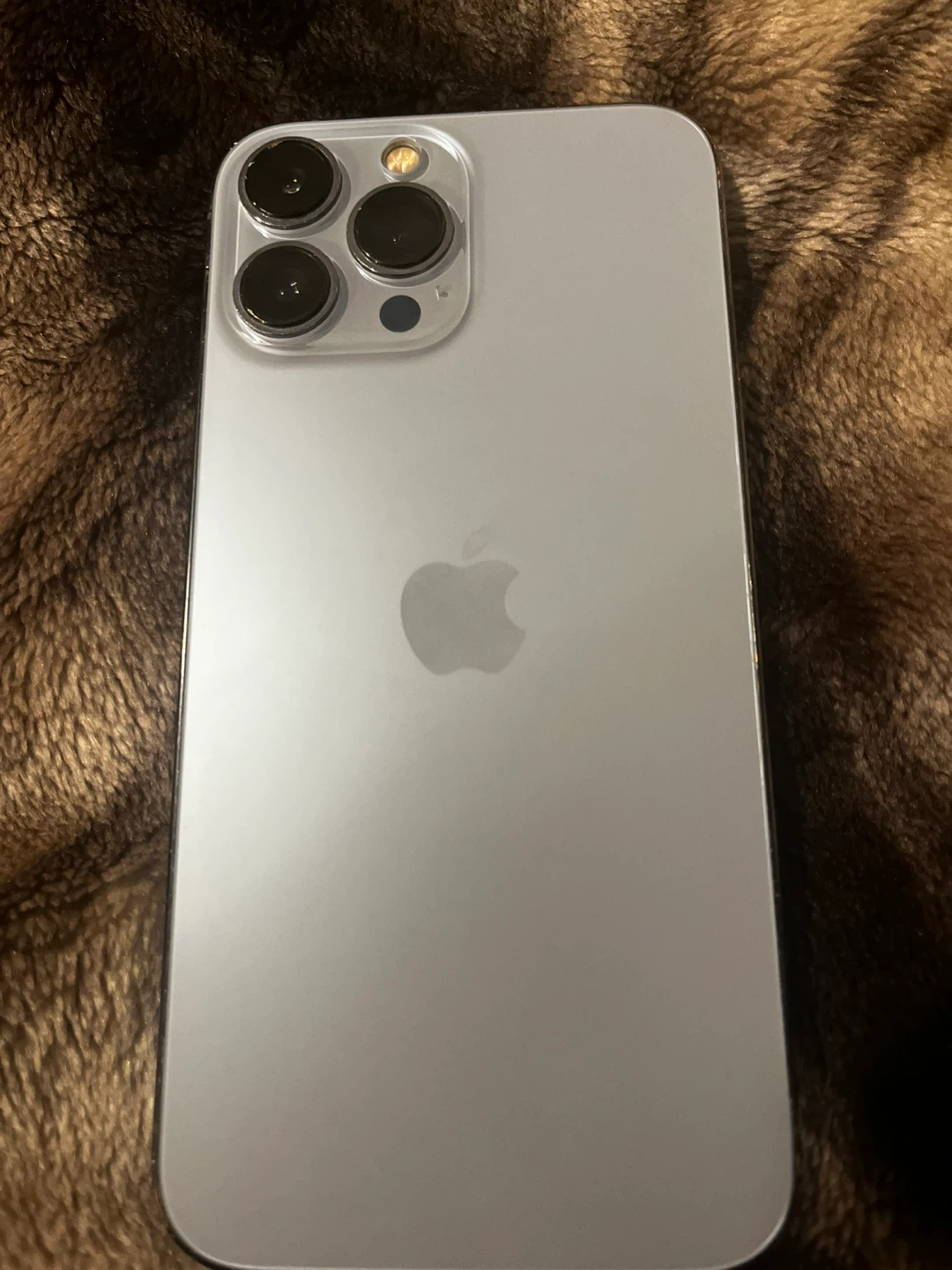 iPhone 13 Pro Max - blue