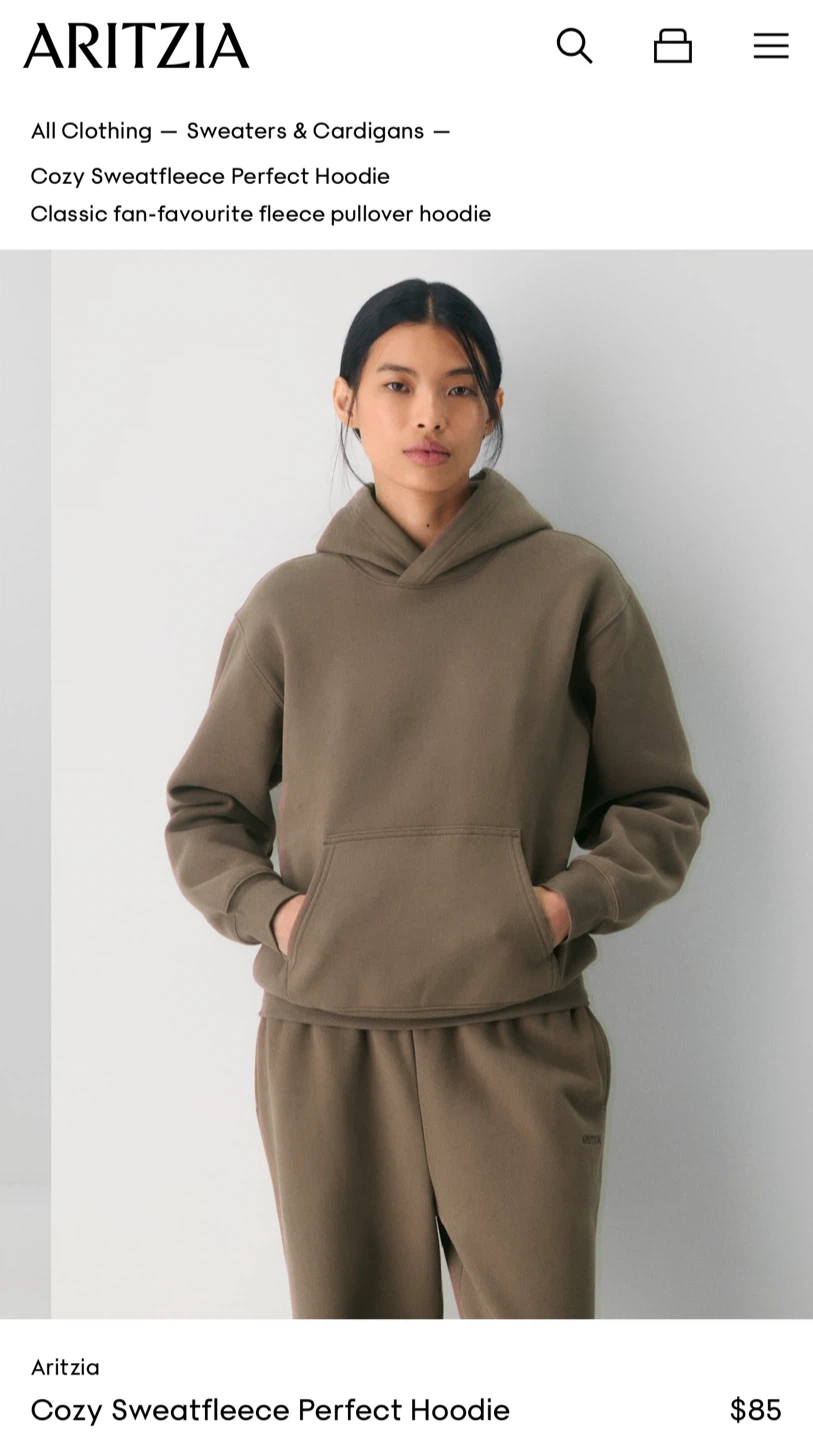 Aritzia Sweatfleece Perfect Hoodie - Size S