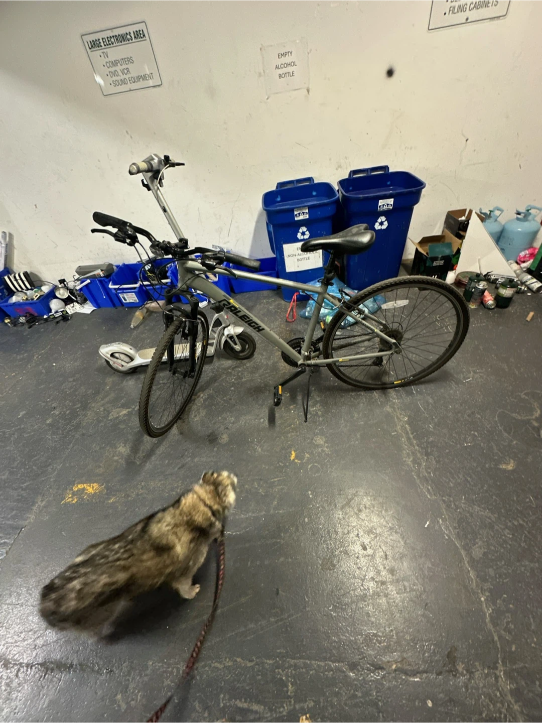 Raleigh Traverse Bike - Great Condition!