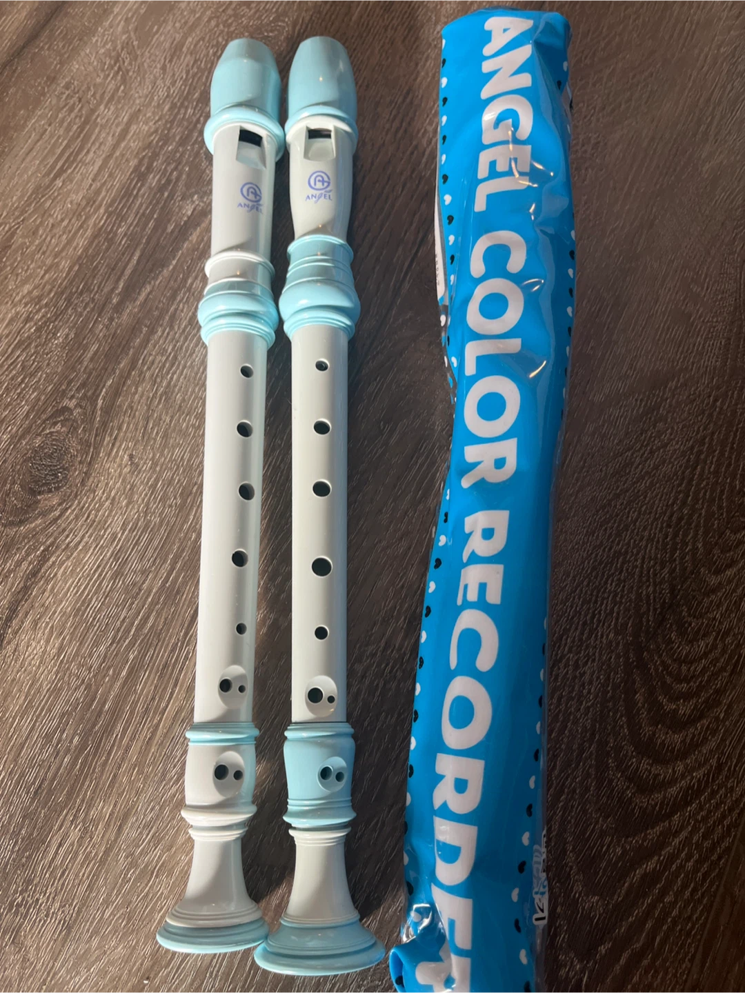Musical instruments Recorder