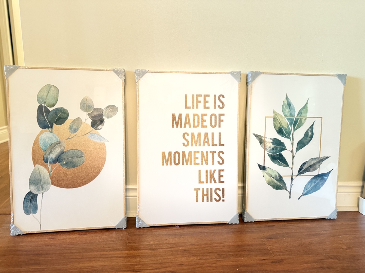 Set of 3 Framed Botanical Prints