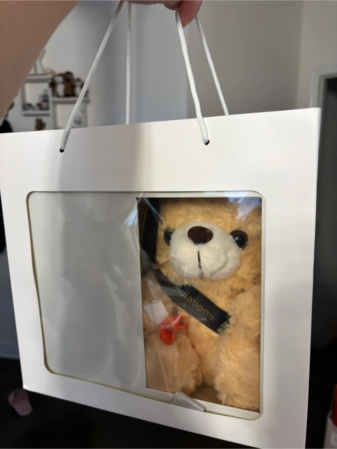 Graduation Bear Gift Set - New in Box - photo 2