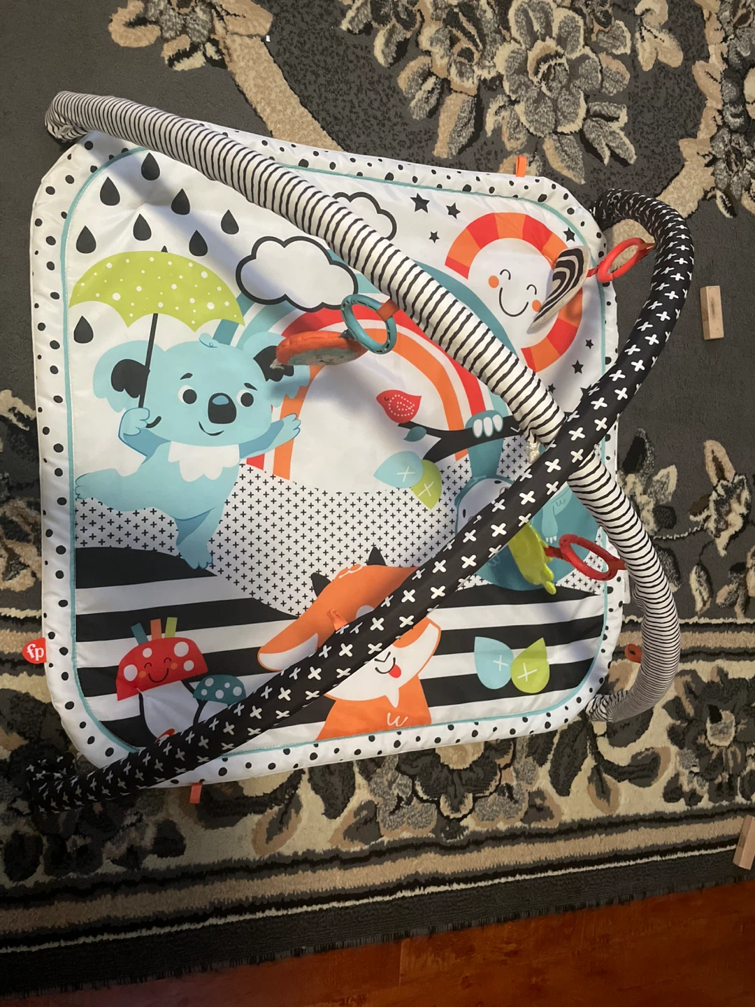 Fisher-Price Baby Play Mat