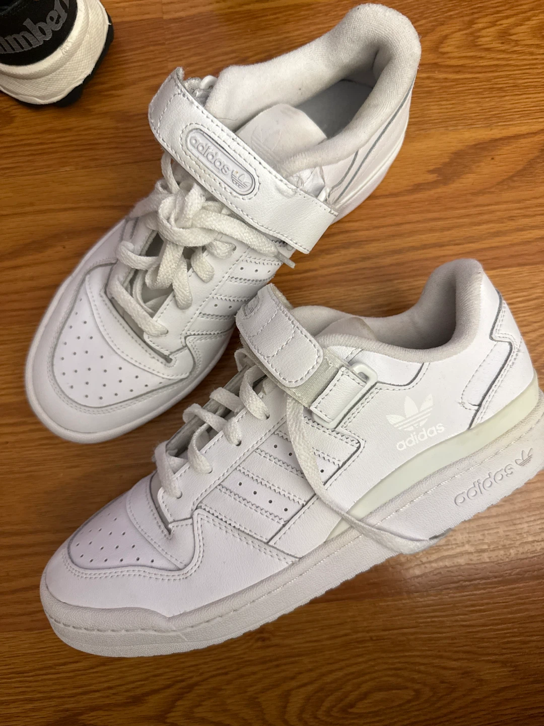 Adidas Forum Low White Sneakers