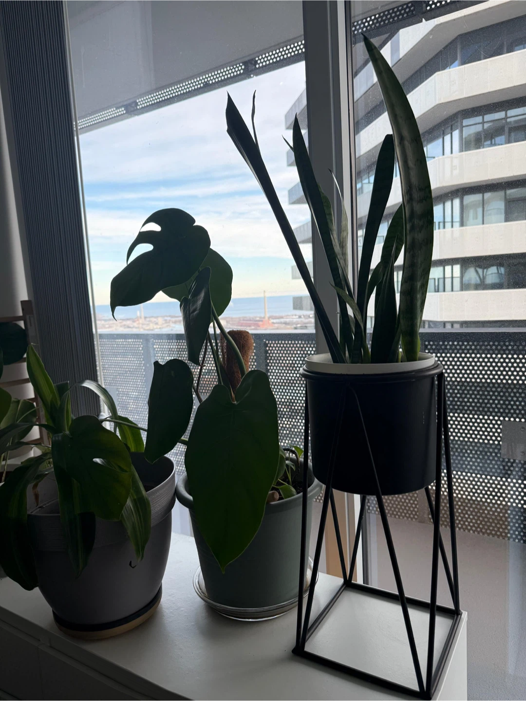 Assorted plants and stand - photo 2