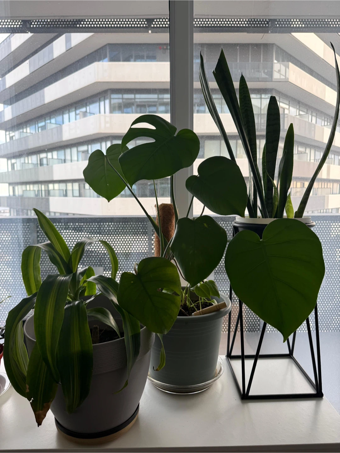 Assorted plants and stand - photo 4